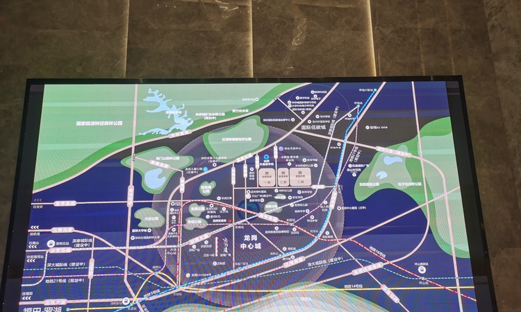 新霖荟璟花园实景图