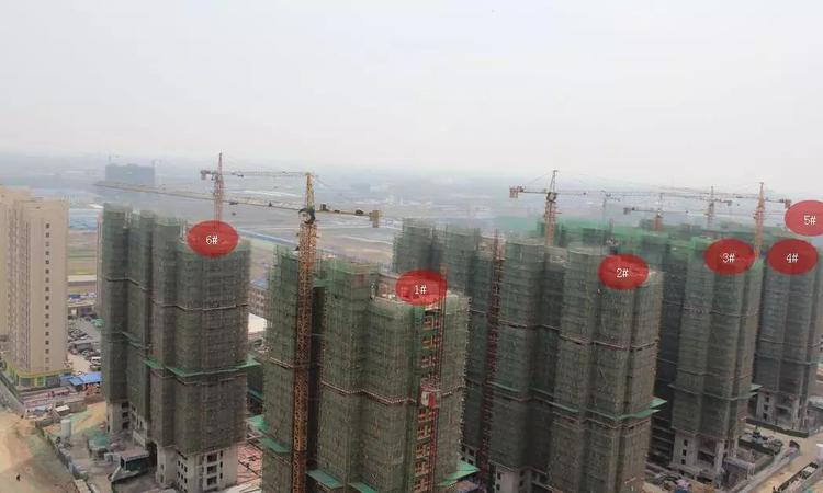 信华·樽樾施工进度图