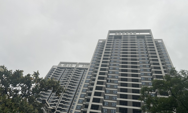 保利清能拾光年施工进度图