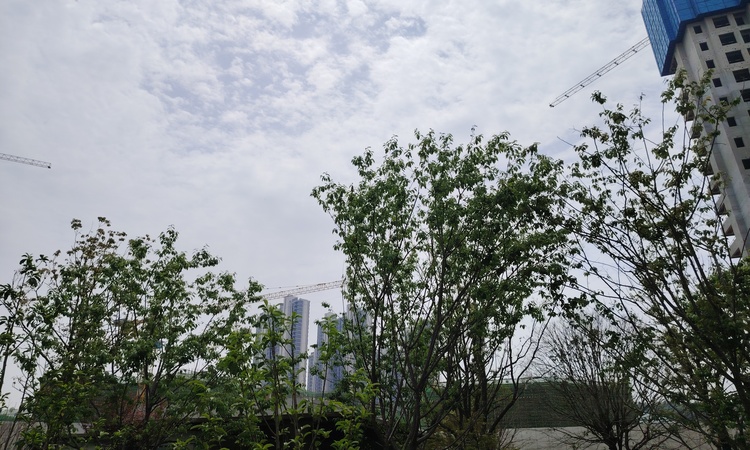 中建翡翠天序施工进度图