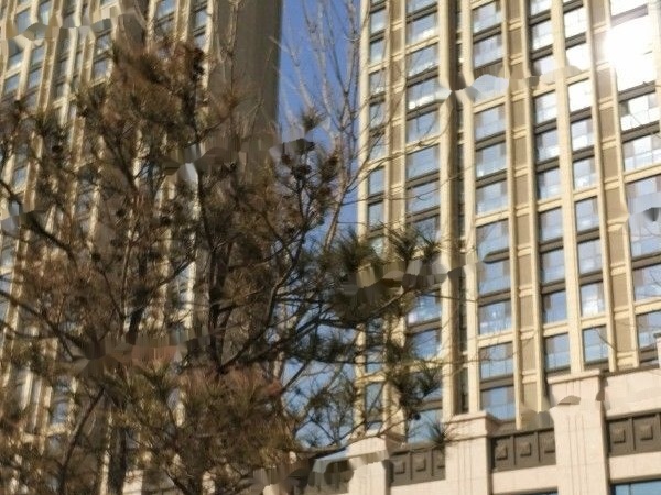 汇福悦榕湾实景图