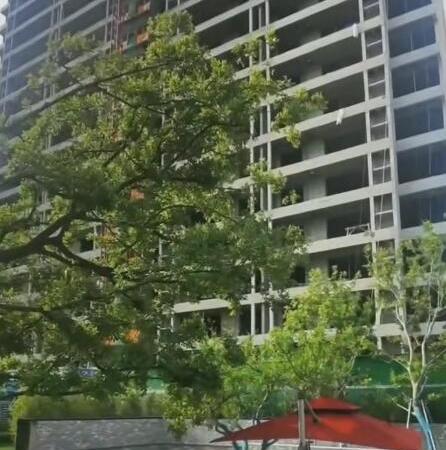 冶都上和院施工进度图