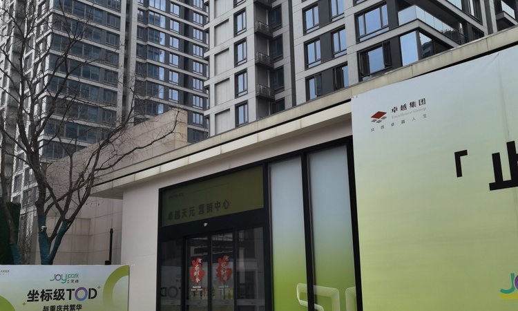 卓越天元施工进度图