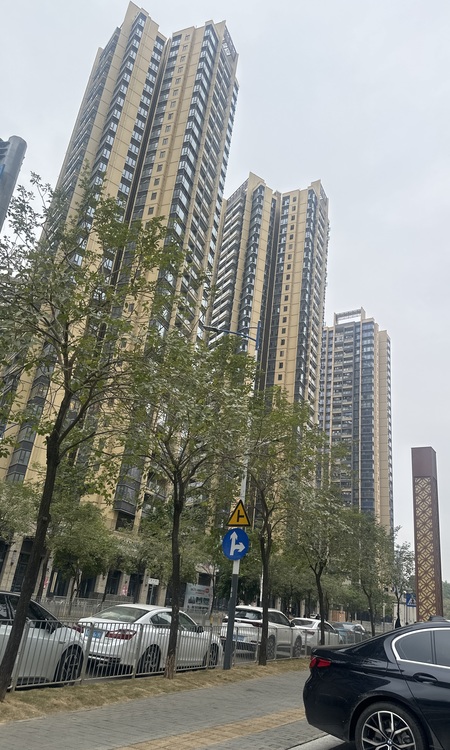 阳光香格里施工进度图