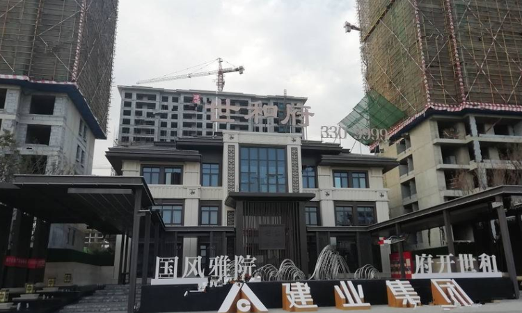 建业·世和府实景图