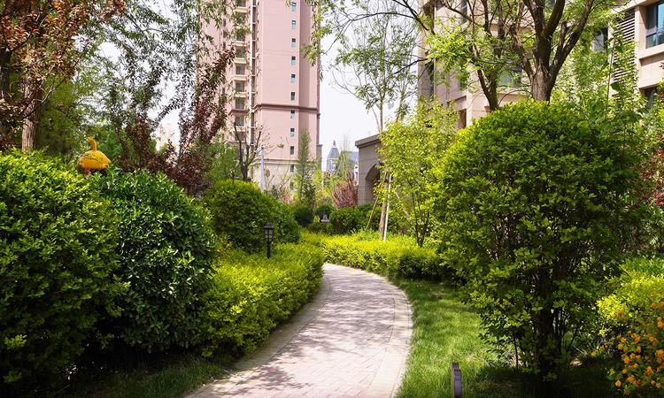 天洲铂悦实景图