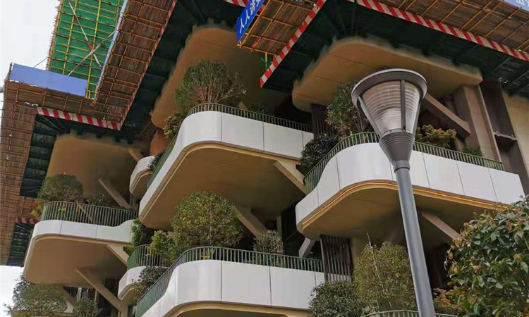 福天藏郡院子施工进度图