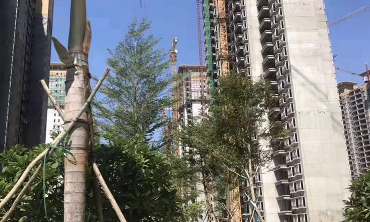 海城时代广场施工进度图