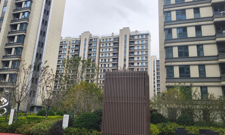 安联虹悦实景图