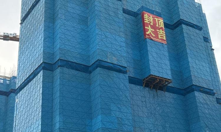 金茂棠前施工进度图