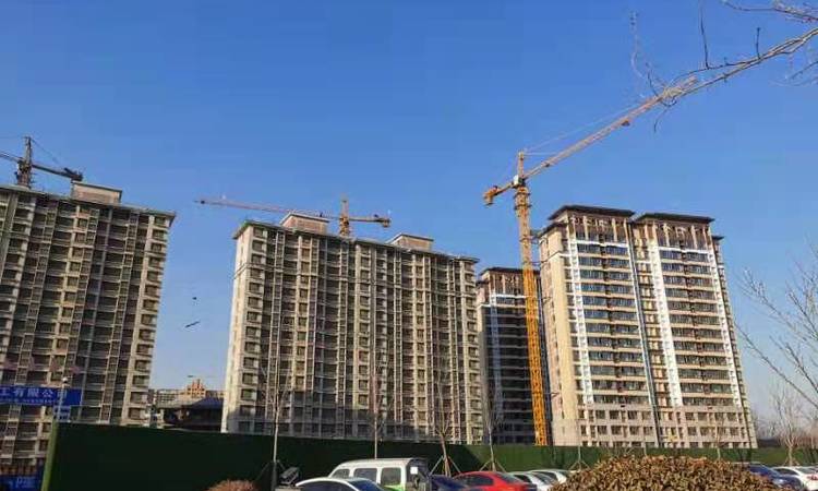 创业·齐新花园施工进度图