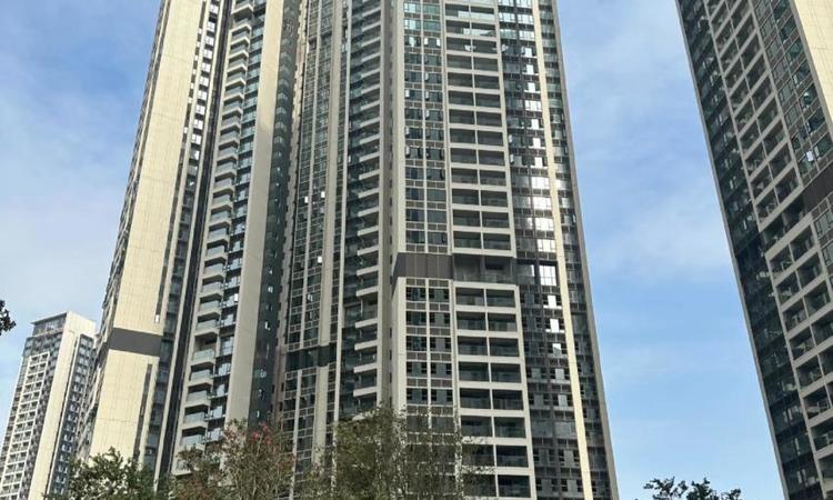 拾悦城楠园实景图