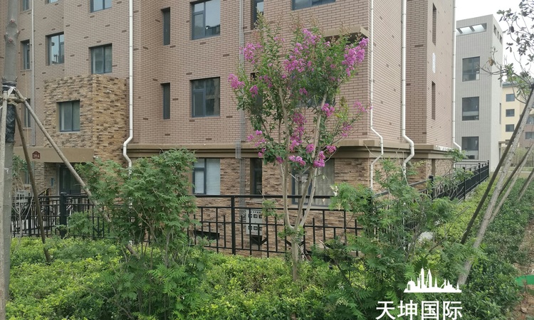 天坤国际花园实景图