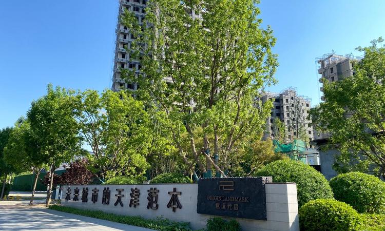 天保·意境元启实景图
