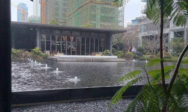 福星惠誉·铂雅府实景图