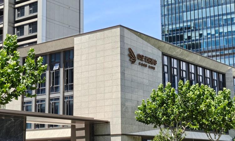 中企·云启春申实景图