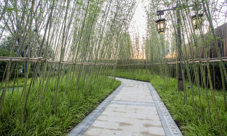 恒大悦珑湾实景图