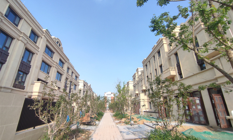 凤栖壹号院实景图