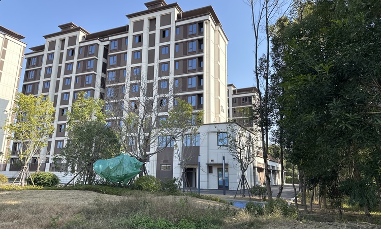 恒荣蓝泽悦滨江施工进度图