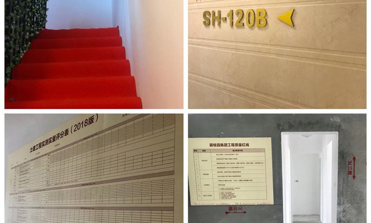 碧桂园学府1号样板间