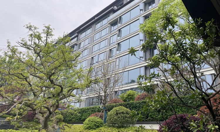 泷悦长安施工进度图