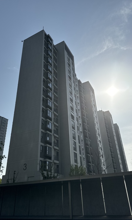 碧桂园·新月时光施工进度图