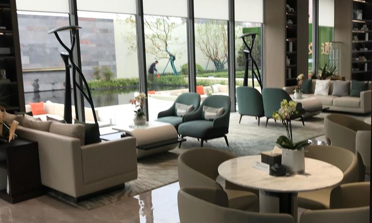 儒辰辰逸实景图