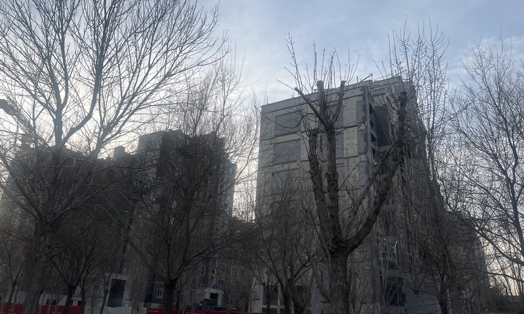 金地·时光印施工进度图