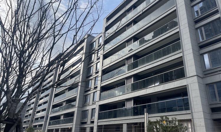 中天宸著锦庭施工进度图