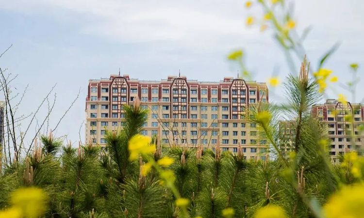 青岛印象品实景图