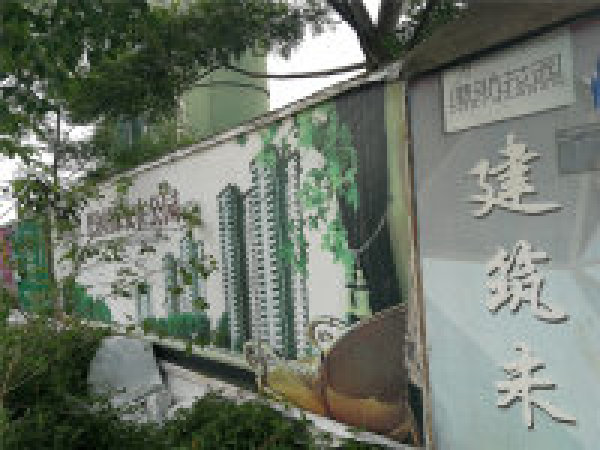 旭阳·热带森林实景图