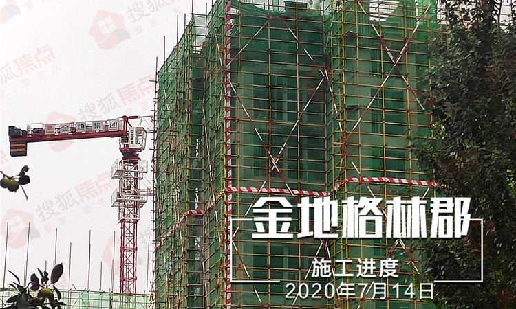 金地世纪城格林郡施工进度图