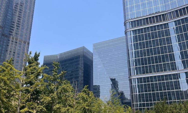 金桐拾贰实景图