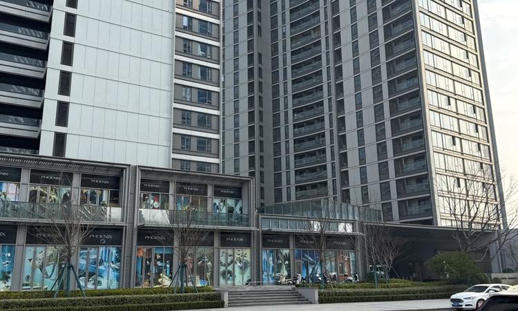 绿城金地凤起听澜实景图