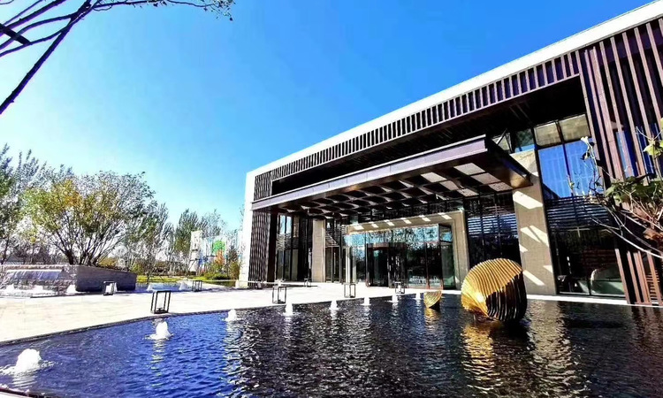 天成·溪树庭院实景图