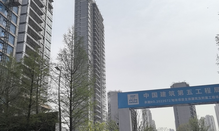 源尚丹若施工进度图
