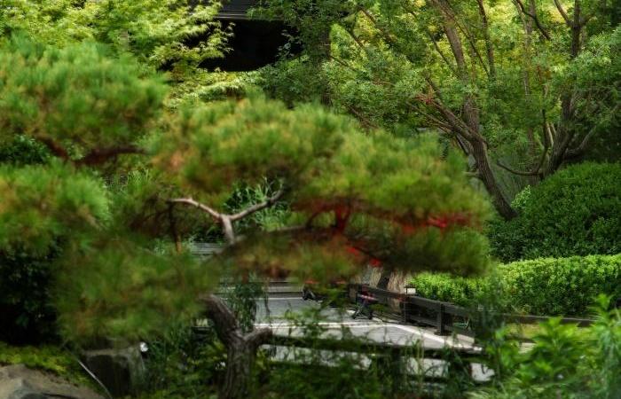 壹品兴创·颐和公馆实景图