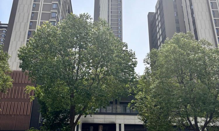 保利星河九洲实景图