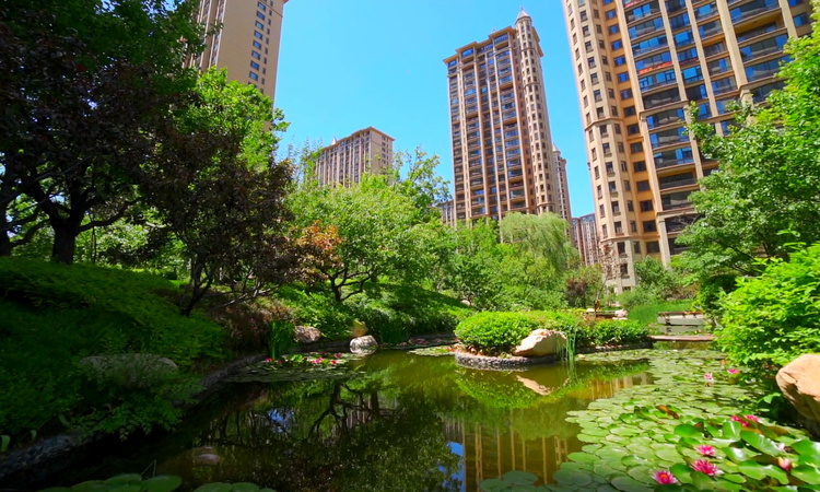 太原星河湾6号园实景图