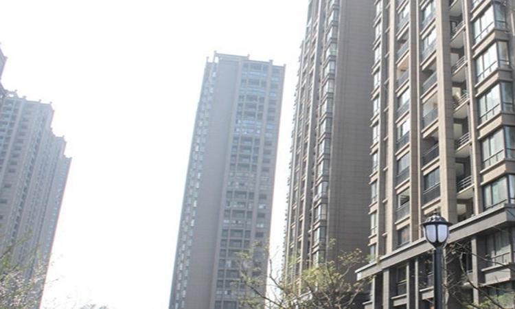 西城国际实景图