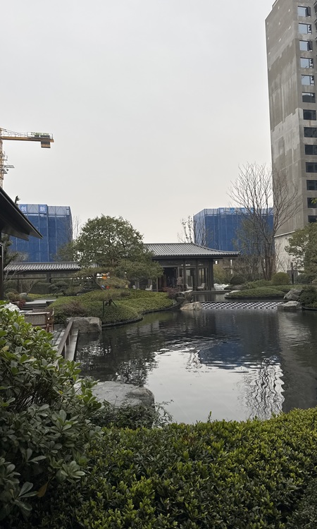 日盛滨湖悦府施工进度图