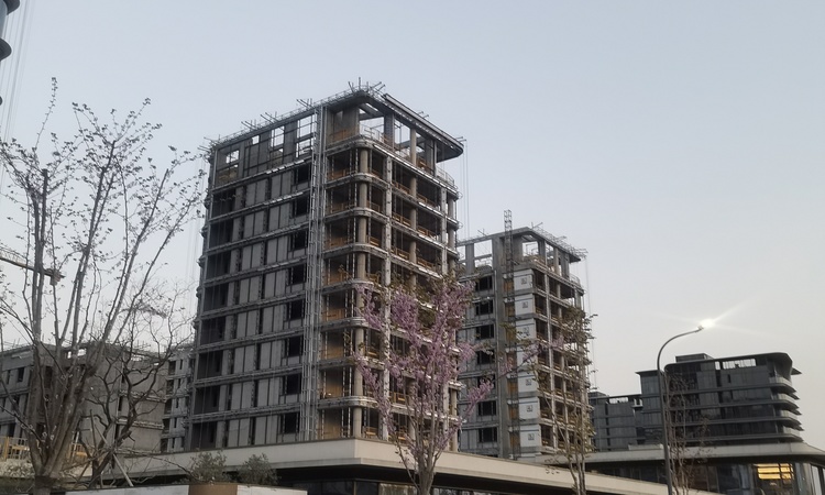 维科大家逸庐施工进度图