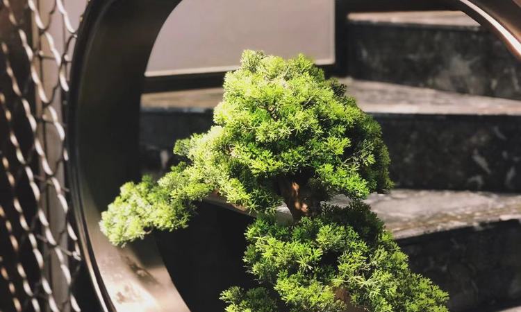 海上院子样板间