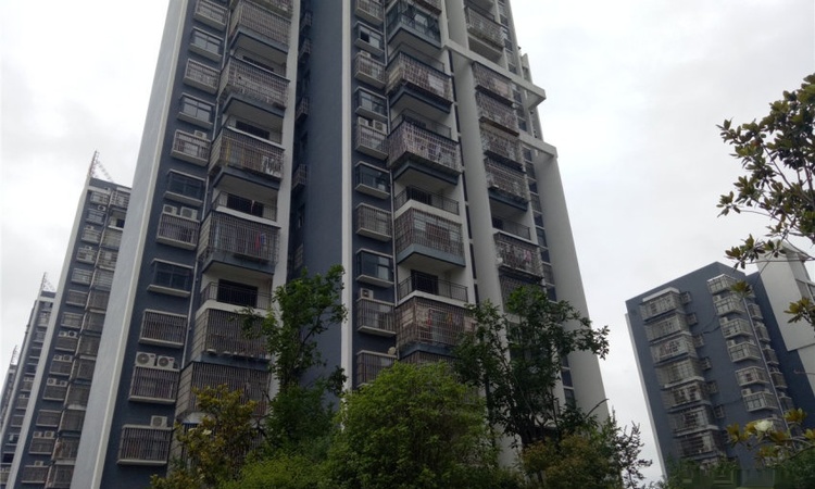 新万基·现代城实景图