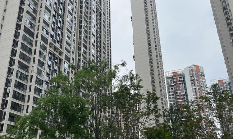 天地·雅园实景图