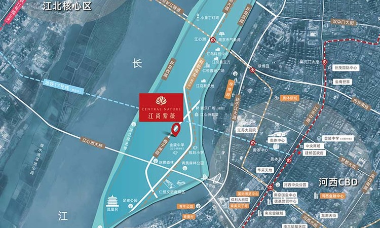 江尚紫薇交通图