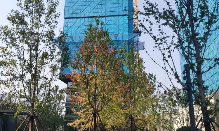 京熙润府施工进度图