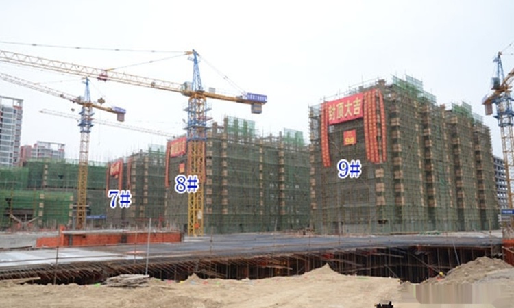 华纳橡树湾施工进度图