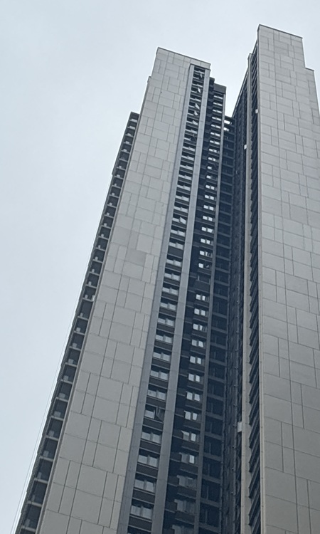 鸿荣源尚云实景图