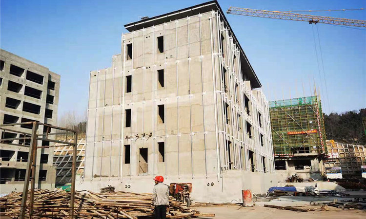 午山国际施工进度图